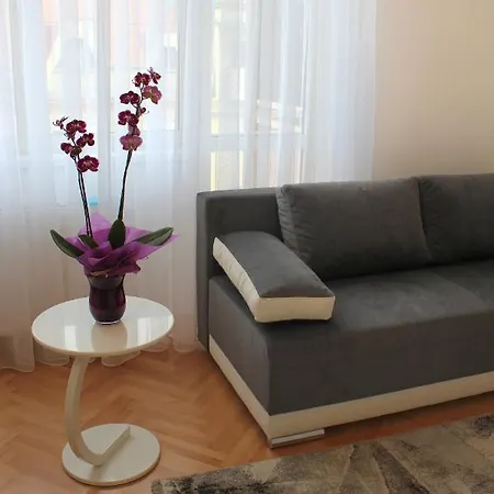 Apartment Cacak Central *