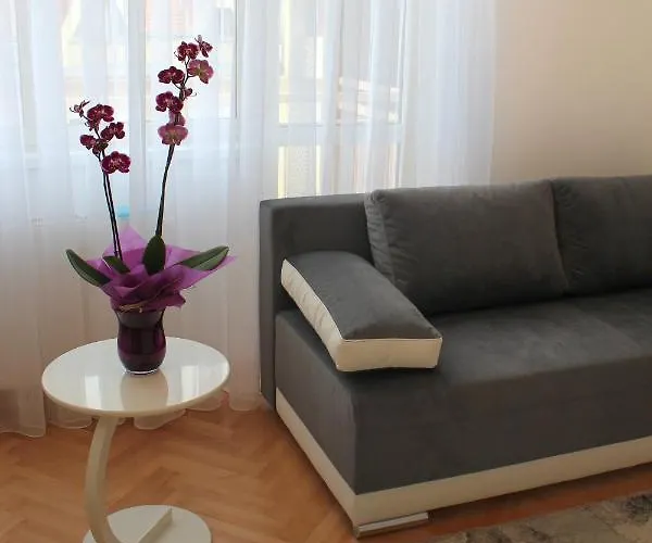 Appartement Cacak Central *