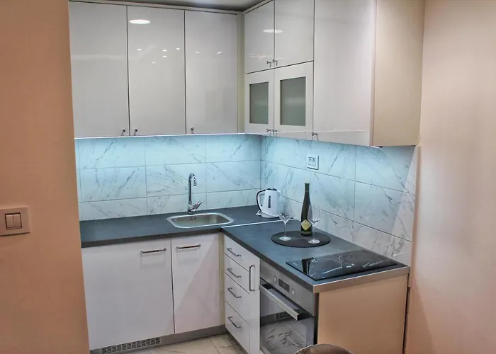 Cacak Central Appartement *