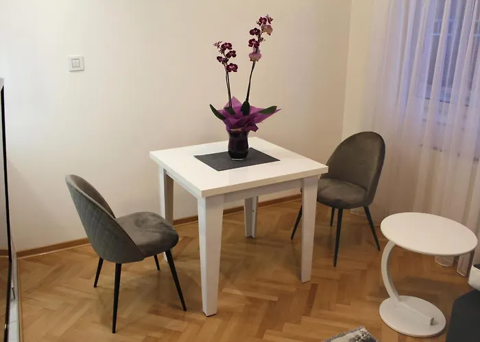 Cacak Central Appartement *